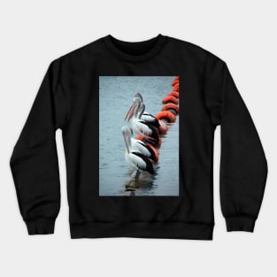 Pelican - Photography by Avril Thomas - Adelaide / South Australia Artist Crewneck Sweatshirt